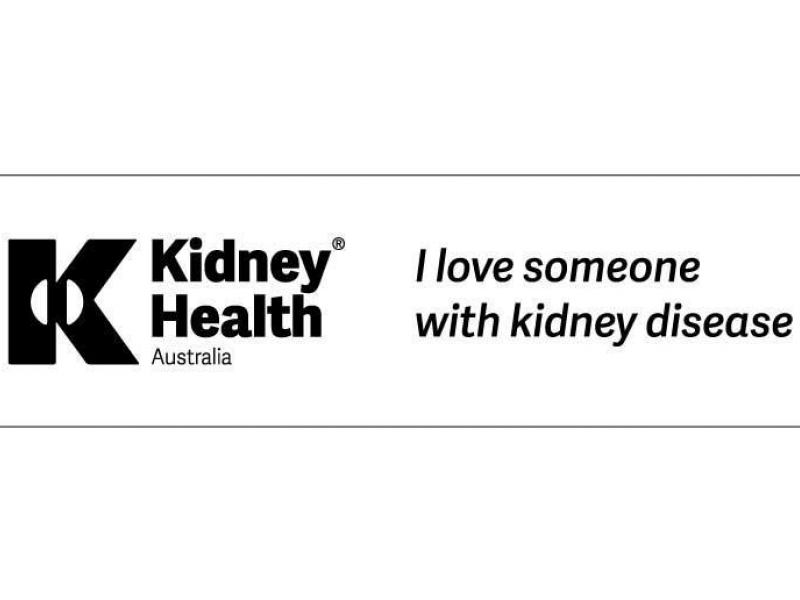 'I love someone with kidney disease' sticker