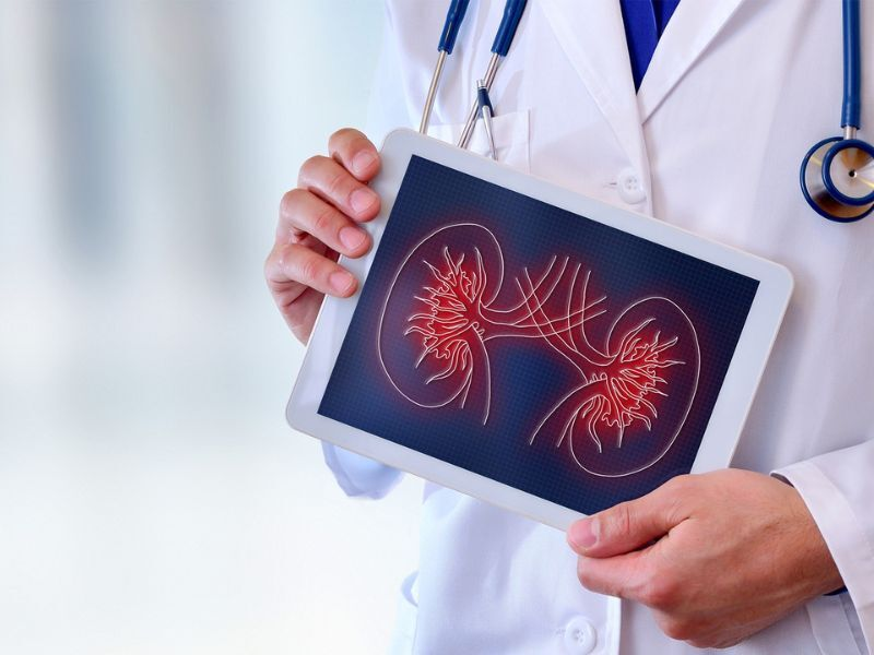 A doctor holding an iPad with a graphic of kidneys