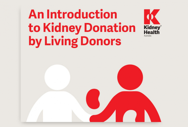An introduction to Kidney Donation by Living Donors fact sheet cover
